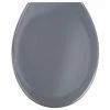 Wenko Ottana Premium Soft Close Toilet Seat - Dark Grey - 19657100