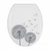 Wenko Astera Soft Close Toilet Seat - 22409100